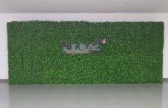 室内草坪形象墙
